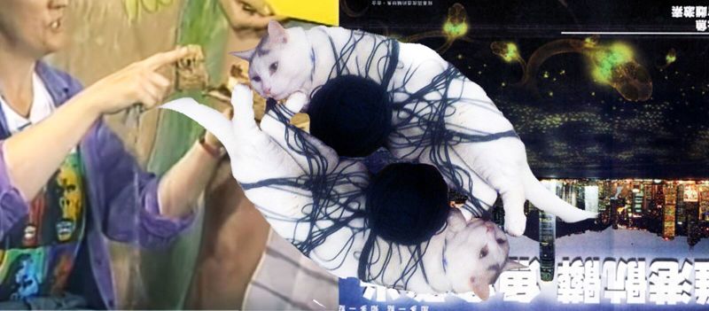 This is a collage the top layer shows two cats tangled in balls of wool. The left layer shows a still image of Donna Haraway eating cake and the right layer shows a newspaper image of gfp fish in the hong kong harbour updside down